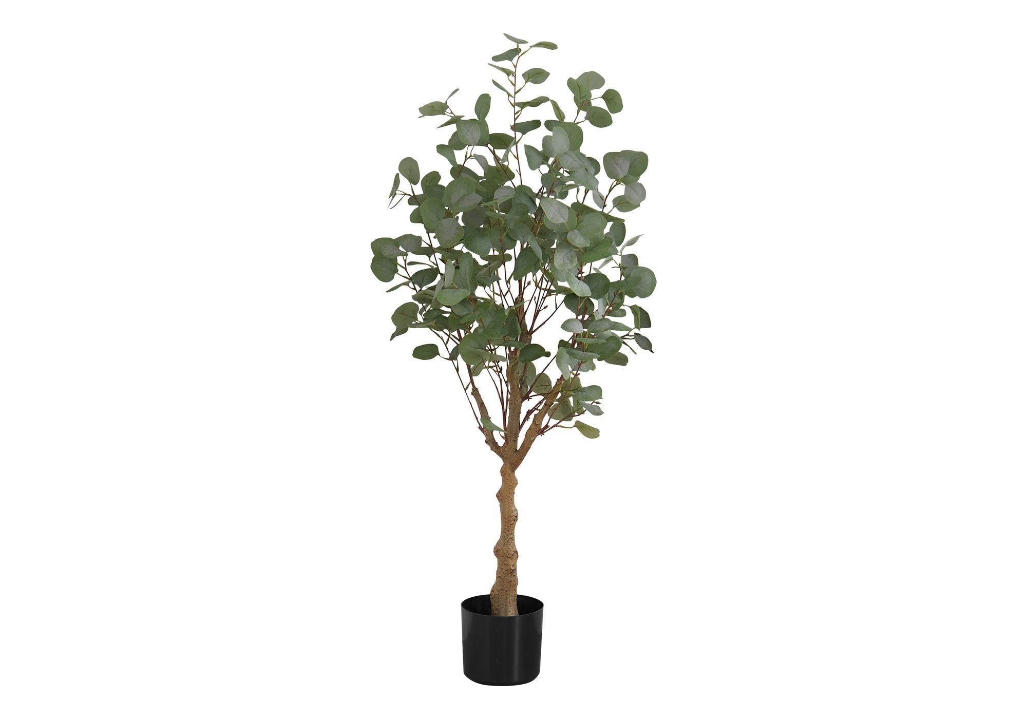 Artificial Eucalyptus Tree