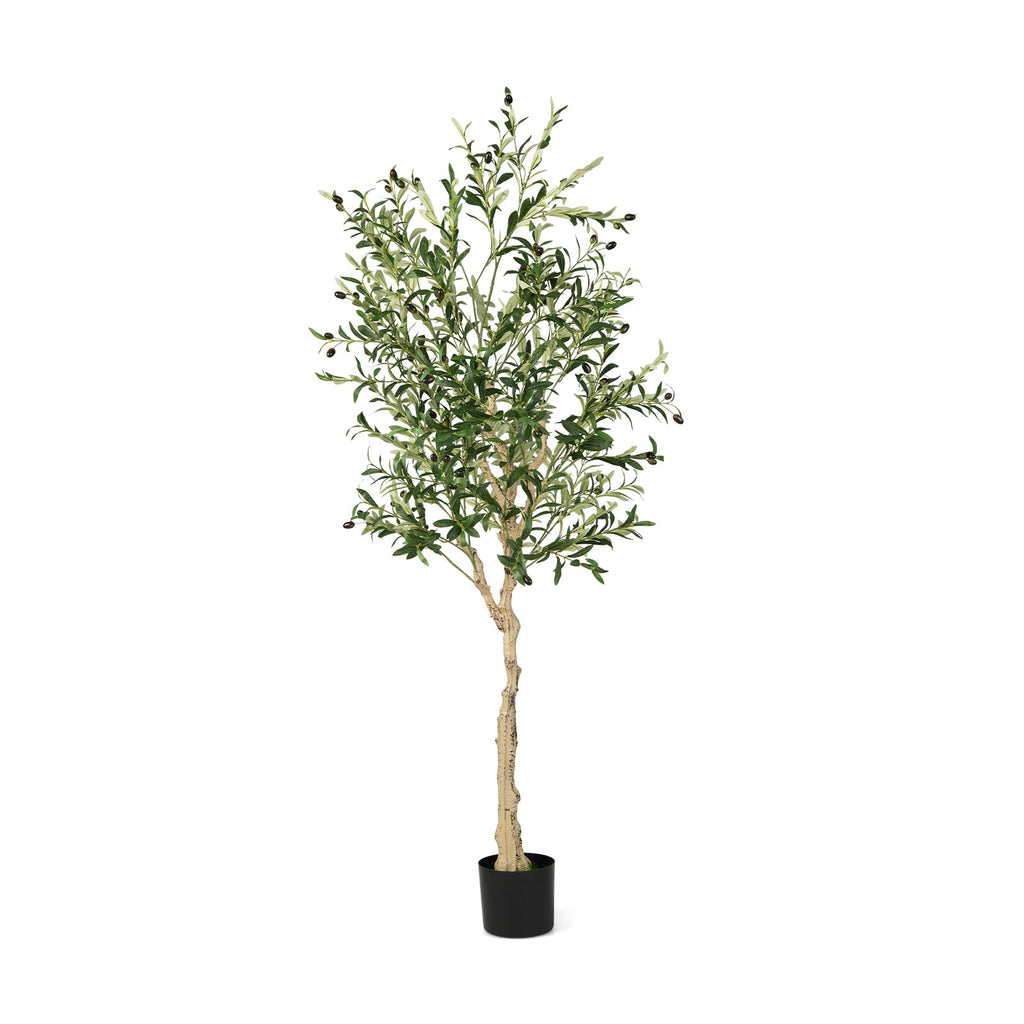 Artificial Olive Tree in Cement Pot