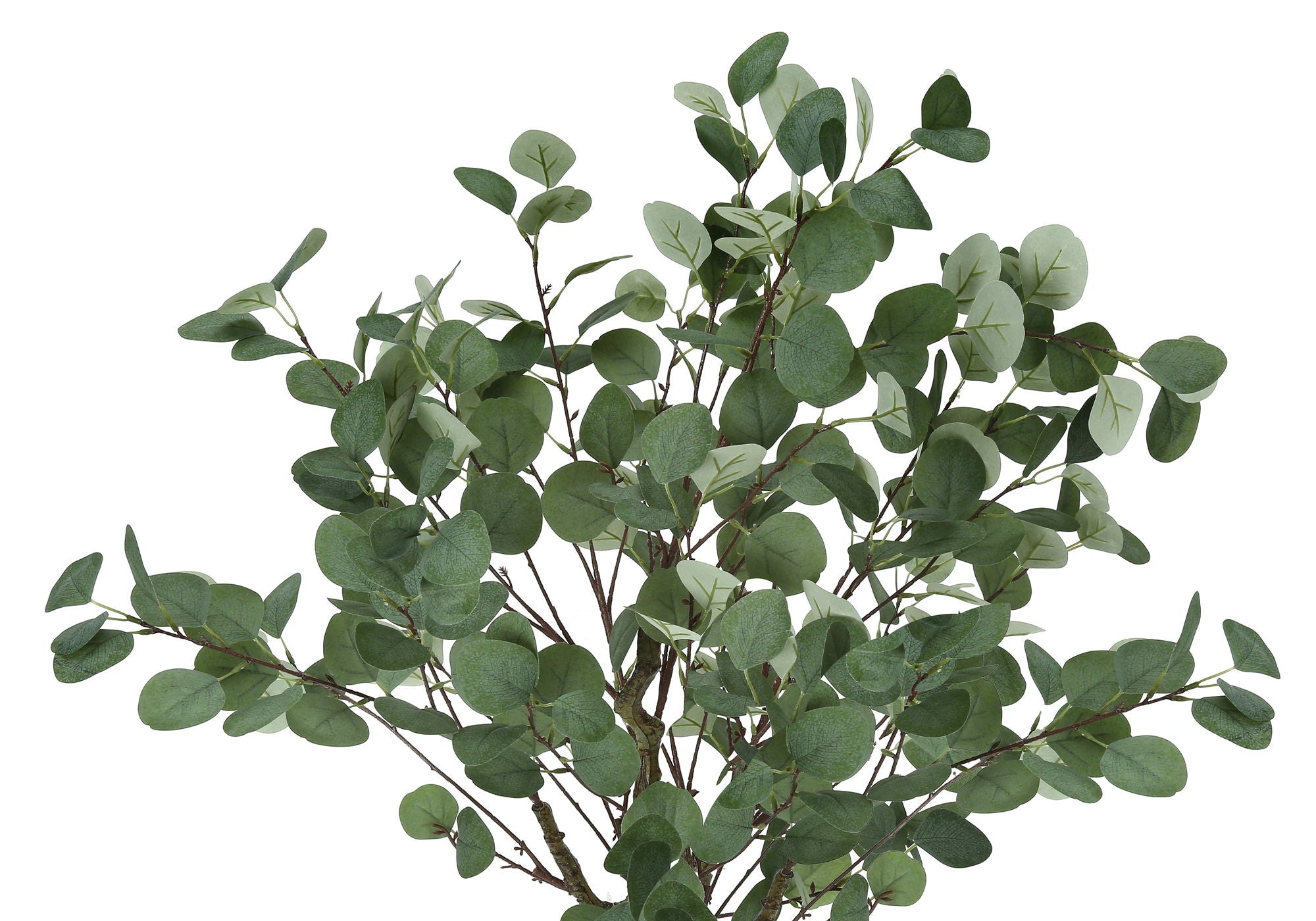 Artificial Eucalyptus Tree