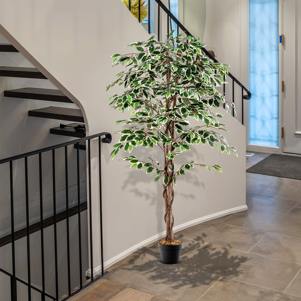 Artificial Ficus Tree