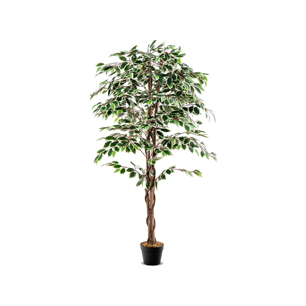 Artificial Ficus Tree