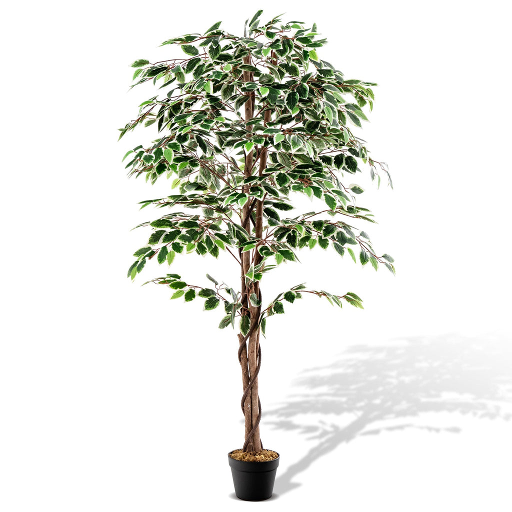 Artificial Ficus Tree