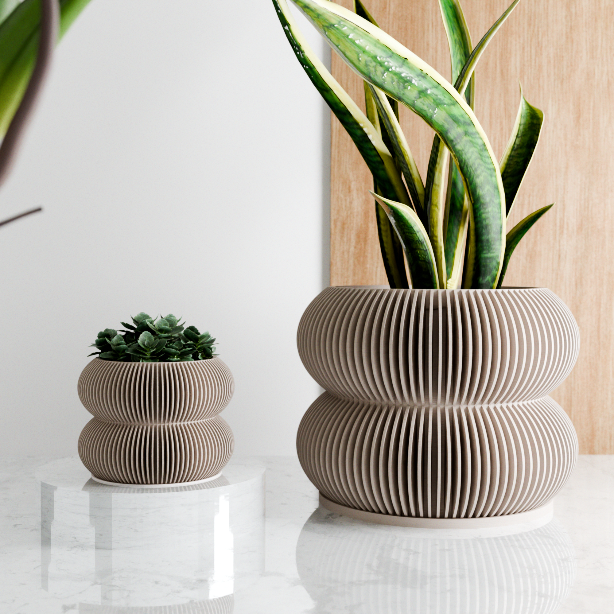 Double Bubble Planter