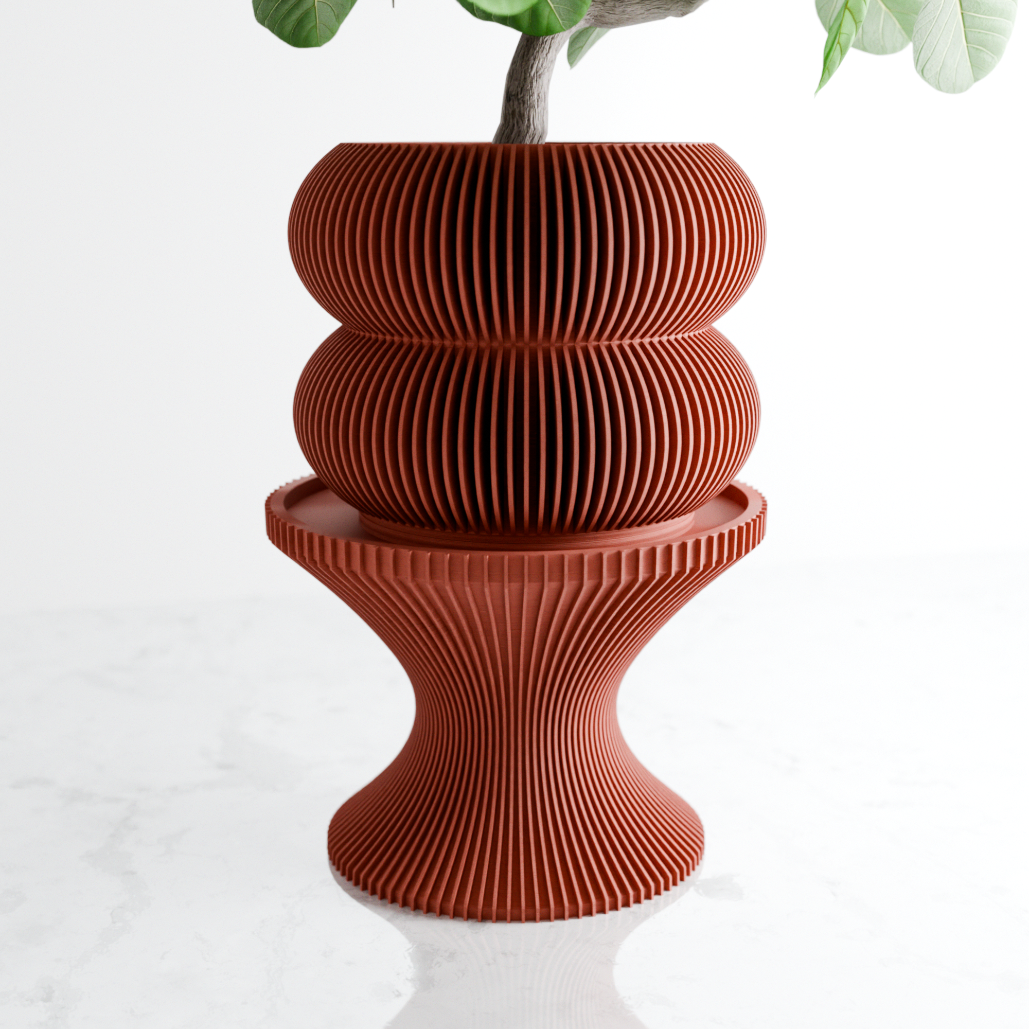 Double Bubble Planter