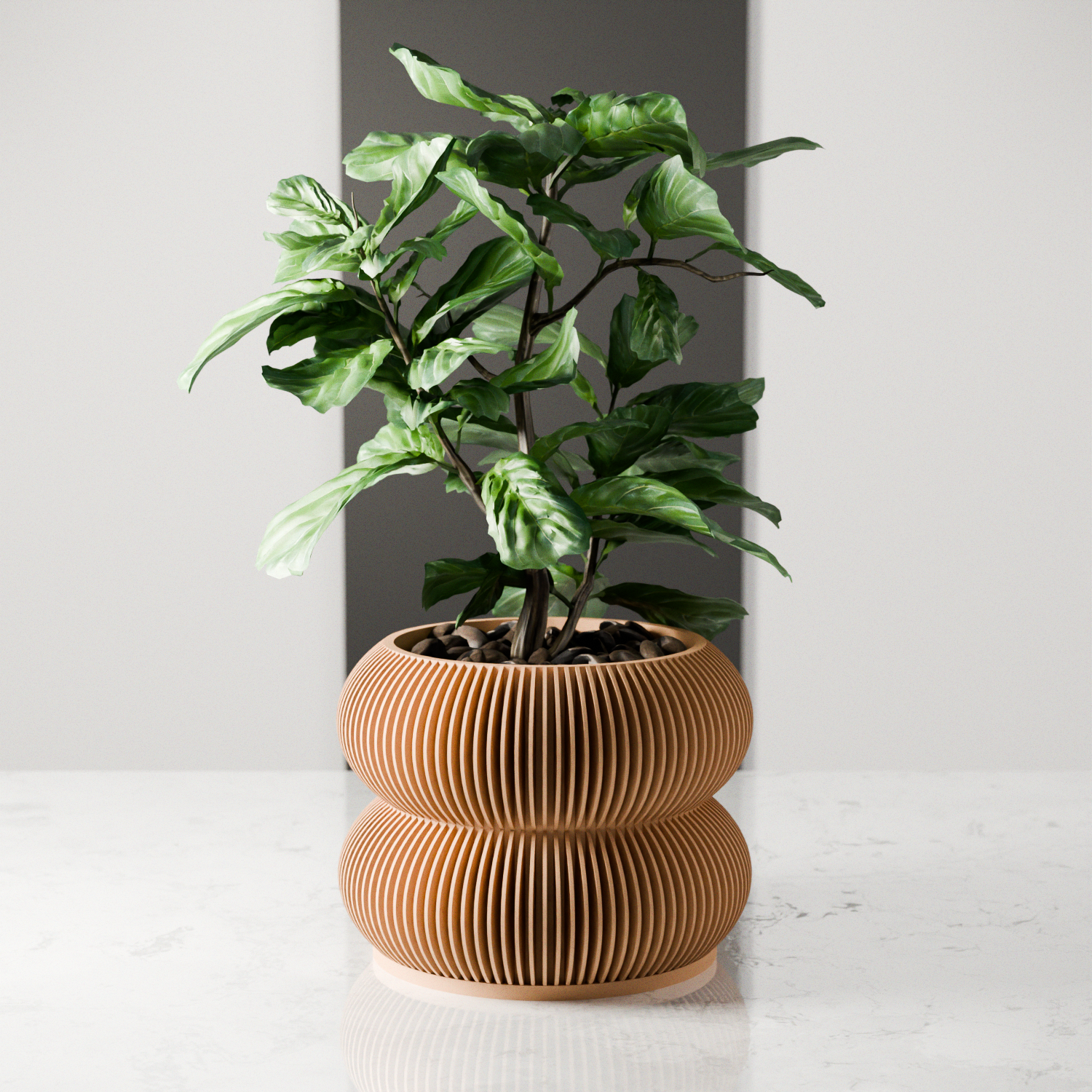 Double Bubble Planter