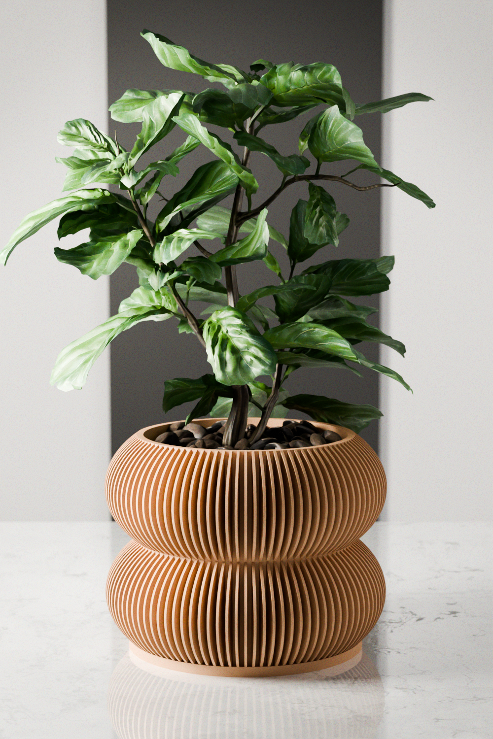 Double Bubble Planter