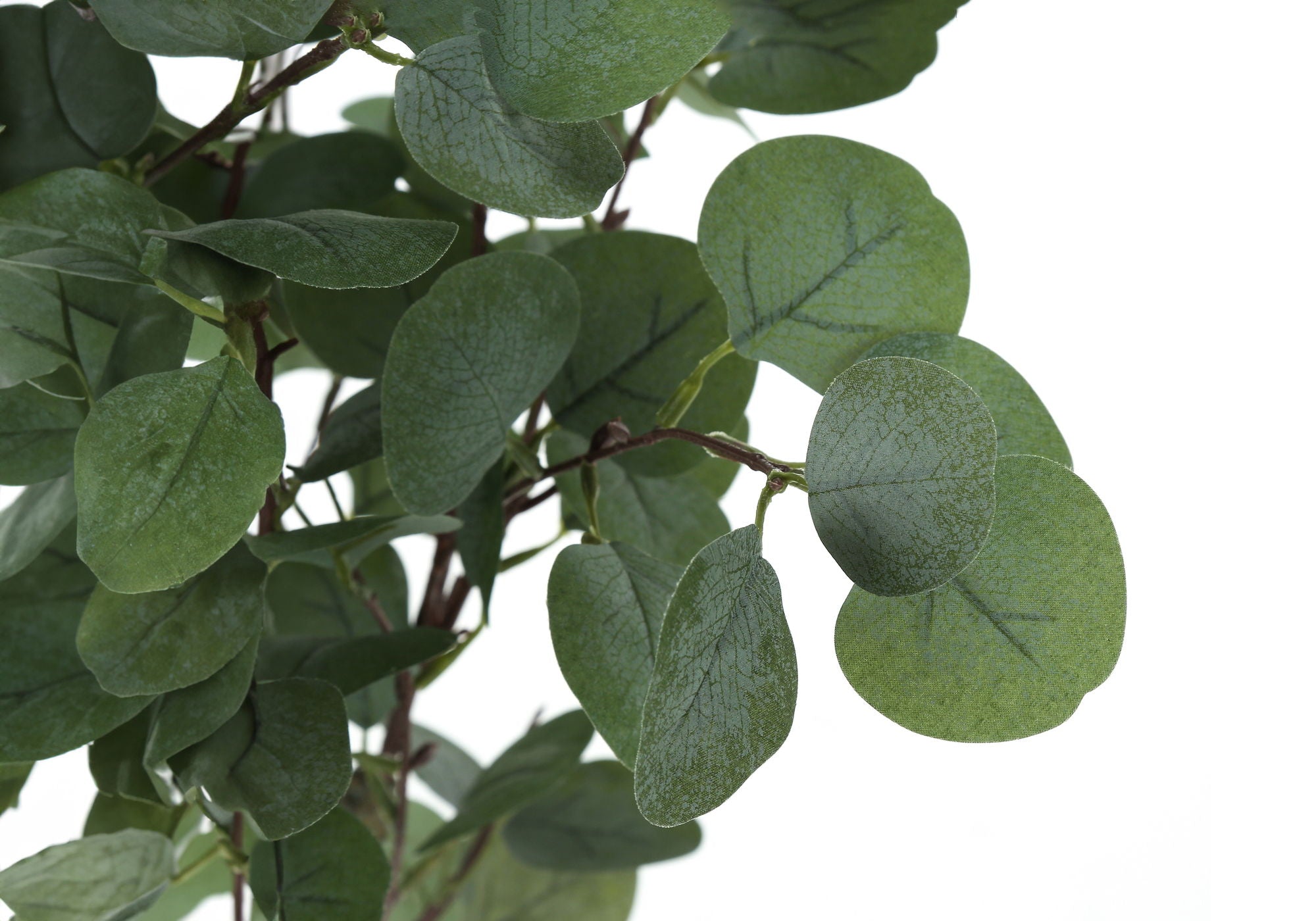 Artificial Eucalyptus Tree